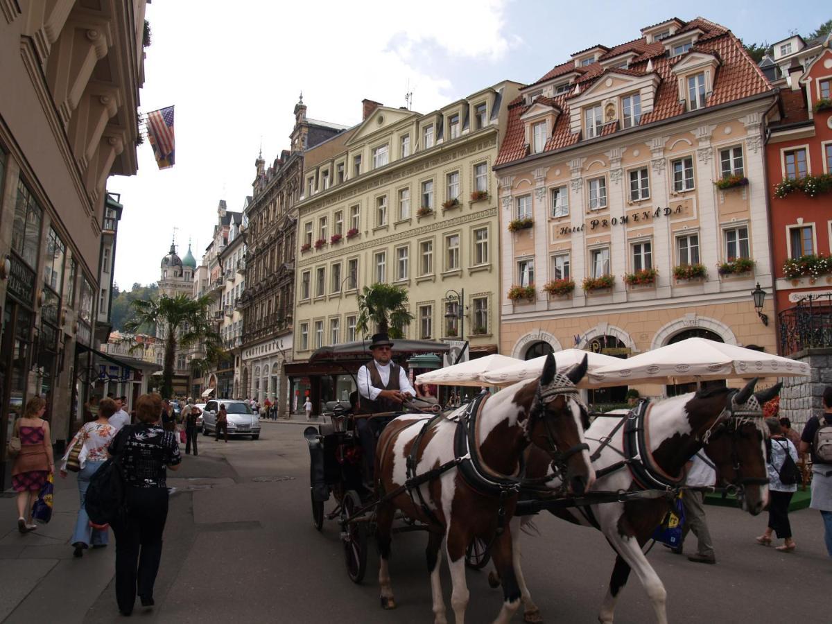Apartment No. 12 Trziste 29 Karlovy Vary Eksteriør bilde